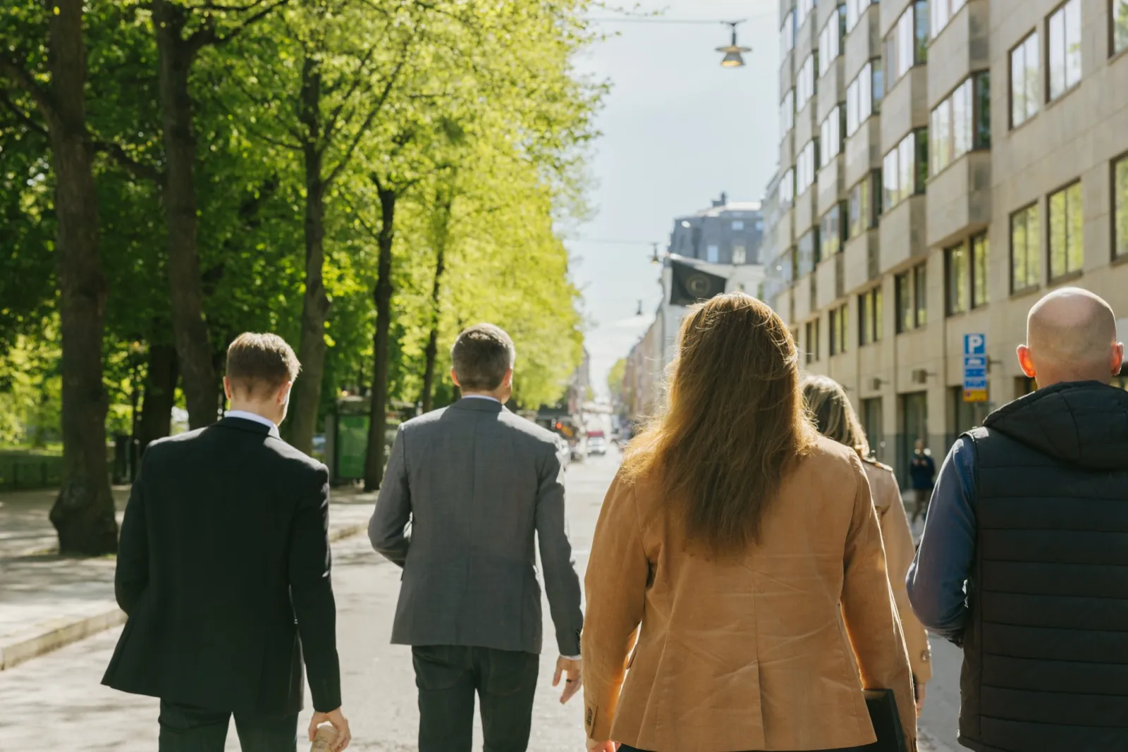 Four people walking down a tree-lined street, seen from behind.